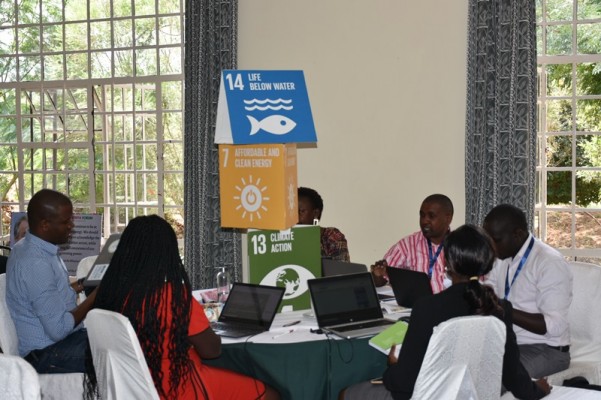Group Discussions on Goal 7, Goal 13 and Goal 14 at the VNR content development workshop